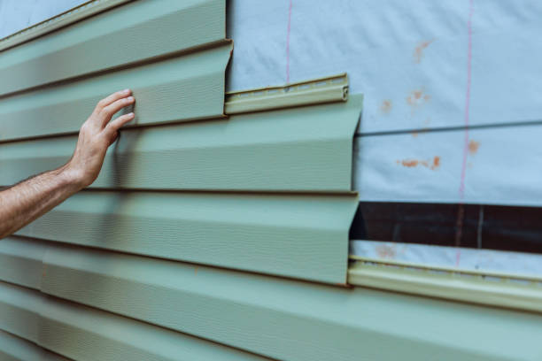 Best Historical Building Siding Restoration  in Downers Grove, IL